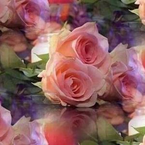 Meet your Posher, Joan